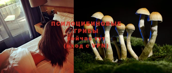 каннабис Новодвинск