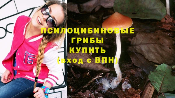 трава Новокубанск
