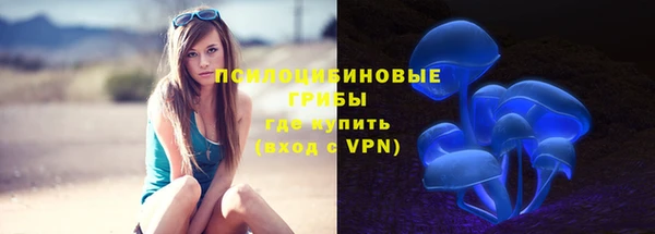 трава Новокубанск