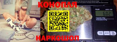 сатива Бузулук