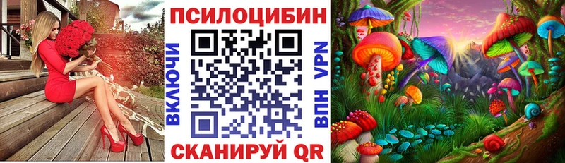 Псилоцибиновые грибы Cubensis гидра tor Кудрово