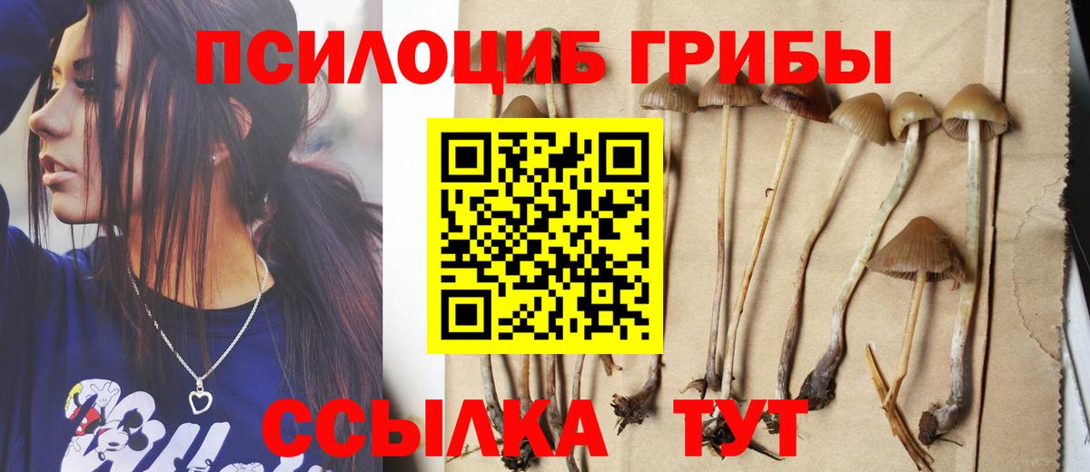 Псилоцибиновые грибы Cubensis  Галлюциногенные грибы MAGIC MUSHROOMS  Кудрово  Вход с VPN 