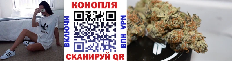 MEGA маркетплейс  купить наркотики цена  Кудрово  Шишки марихуана VHQ 