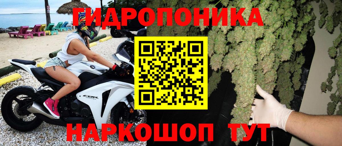 Конопля планчик Кудрово